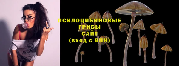 крисы Баксан