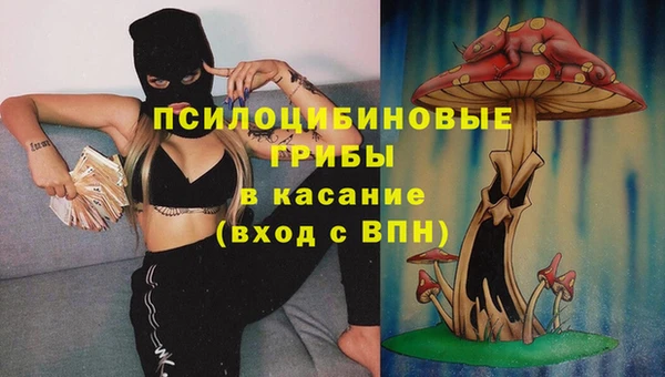 крисы Баксан