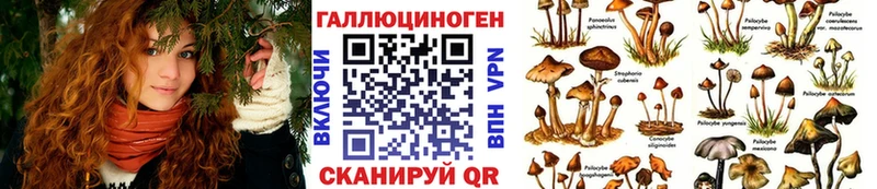 Псилоцибиновые грибы Magic Shrooms  Суоярви 